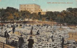 CPA ROYAUME UNI / CATTLE MARKET AND CASTLE / NORWICH - Picture 1 of 1