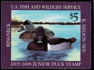 US JR Duck Stamp Scott #JDS13 VF MNH, $5.00, Below Face! - Picture 1 of 1