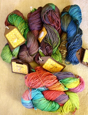 Araucania Ulmo Multy Hand Dyed Yarn 100% Cotton 6 Hanks - Image 1 of 4