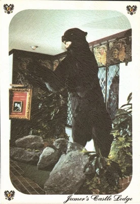 Pc-Jumer's Caster Lodge THE FAMOUS BLACK BEAR Portrait 6x4 Peoria Illinois 1970s - Image 1 of 3