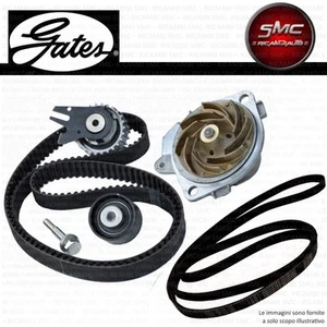 KIT DISTRIBUZIONE GATES + POMPA CINGHIA RENAULT MEGANE III 2 volumi 1.5 dCi 81KW - Imagen 1 de 1