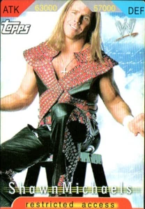 2006 Konami Insider Topps WWE gioco di carte accesso limitato Shawn Michaels HBK - Foto 1 di 1