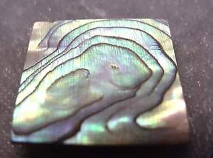 BLOCCO ABALONE PER CHITARRA - INTARSI TASTI MANDOLINO - Foto 1 di 4