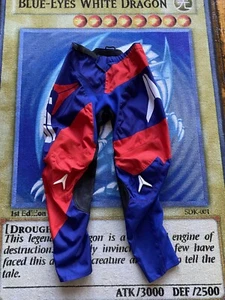 Alias MX A2 Series Motocross Padded Pants BMX ATV Off-Road Men’s 32 Fox Racing - Foto 1 di 10
