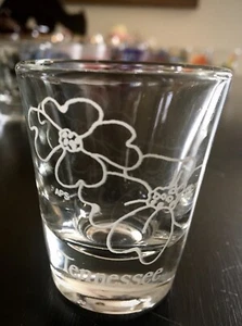 Tennessee Schnapsglas • Vintage Souvenir • Staatsblumen - Bild 1 von 6