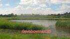 PHOTO  VIEW FROM DAVID FEAST HIDE  LOOKING NORTH-WESTERLY OVER A LAKE BESIDE THE