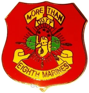 Marine Corps Lapel Pin 8th Marine Regiment MORE THAN DUTY USMC - Picture 1 of 1