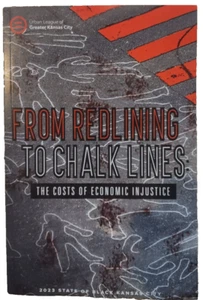 From Redlining to Chalk Lines, The Costs of Economic Injustice, PB - Picture 1 of 5