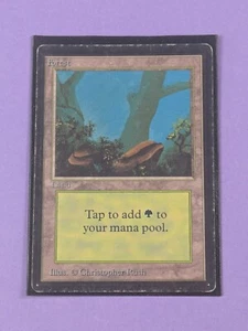 MTG: Magic The Gathering: Forest - Common - MP - Picture 1 of 2