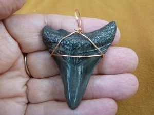 (S256-32) big 2-1/8" Fossil MEGALODON Shark Tooth copper wired pendant JEWELRY - Picture 1 of 1