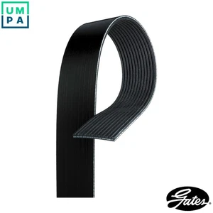 VRIBBED BELT 12PK717 - Picture 1 of 10