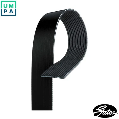 VRIBBED BELT 12PK717 - Image 1 of 4