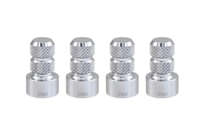 4 VERDADEROS CLAVOS PLATEADOS LLANTAS DE ALUMINIO VÁLVULA DE AIRE VÁSTAGO TAPAS PARA FORD F250 Foto 1 de 4