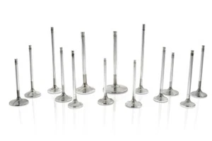 Juego de 12 válvulas Ferrea STD Comp Plus para Toyota/BMW B58 3,0 L - Imagen 1 de 1
