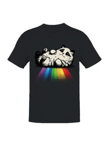 Fluffy Cat on Rainbow Path Women's T-shirt - Picture 1 of 18
