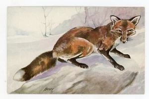 Vintage Postcard Animals Harvey Signed Red Fox Unposted Borderless #2 - Picture 1 of 2