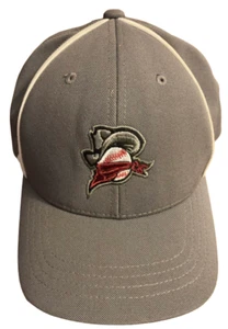 Quad City Bandits Baseball Hat Youth Size Fitted Cowboy Bandana Outlaw Western - Picture 1 of 4