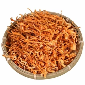 Top Grade Dry Cordyceps Flower Cultured Cordyceps militaris Cordyceps mycelium - Picture 1 of 8