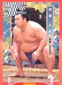 Tarjeta coleccionable Tobizaru Masaya/luchador de sumo BBM TCG Japón japonés #23 - Imagen 1 de 10