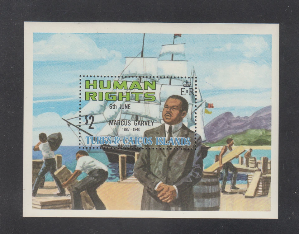 ISLAS TURCAS Y CAICOS: 1980 - HOJAS DE RECUERDO MNH - SCOTT # 482 Foto 1 de 1