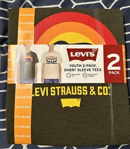 Levi's Boys 2 Pack Short-Sleeve Tees Size XXL Green/Oatmeal 18/20 - Picture 1 of 3