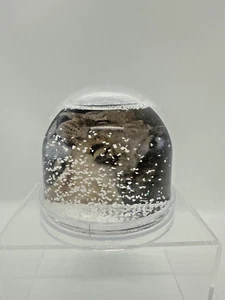 Foto Schneekugel Kunststoff 85mm Hoch 90mm Durchmesser Motiv Löwe Weißer Schnee - Bild 1 von 3