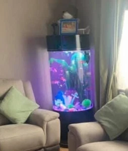 fish tank used - Picture 1 of 1