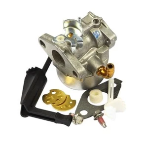 Original Briggs & Stratton 798653 Vergaser - Bild 1 von 3