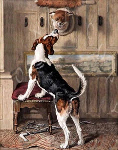 ANTIQUE REPRODUCTION PHOTOGRAPH PRINT RED FOX HUNTING HOUND BEAGLE - Picture 1 of 1