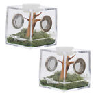 Get Your Reptile Spider Terrarium - VILLCASE Glass Containers 2 Set on