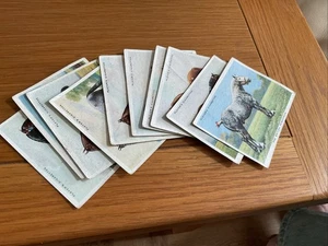 1939 Players Types of Horses Cigarette Cards - Picture 1 of 2
