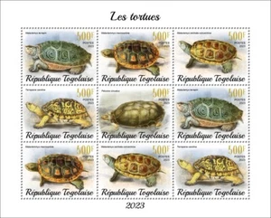 Turtles MNH Stamps 2023 Togo M/S - Picture 1 of 1