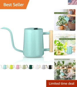 Modern 35oz Green Watering Can for Indoor and Outdoor Plants - Stainless Steel - Picture 1 of 9