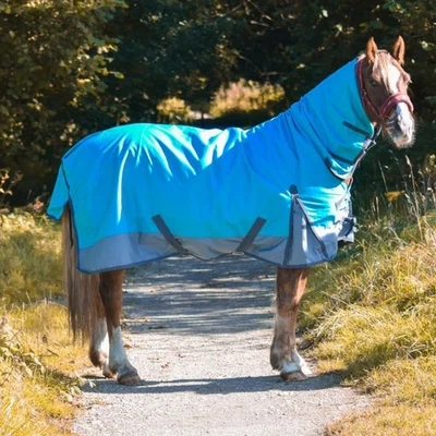 Outdoor Turnout Aqua/Grey 600D 5'3-6'9 Horse Rugs Winter Lite 100G 100gsm Coated - Image 1 of 4