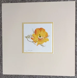 Trevor Waugh Watercolour painting, Welsh Poppy, Original - Picture 1 of 5
