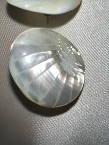 Vintage White Pearl Shell Stud Earrings - Picture 1 of 7