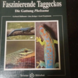 Faszinierende Taggeckos - Bild 1 von 2