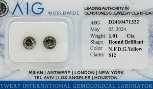 2 Pcs Diamonds (Natural Coloured) 1.01 ct- Round Fancy deep Brown, Greyish SI2 - Picture 1 of 7