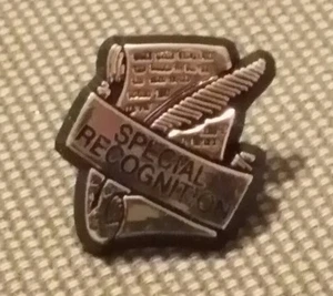  SPECIAL RECOGNITION PLASTIC    PIN    - Picture 1 of 2