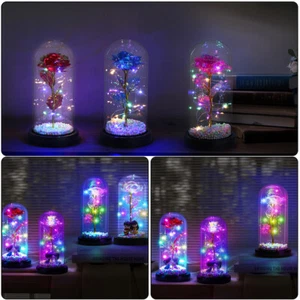 Kristall Galaxie Rose in der Glaskuppel LED Lichter Geschenk für Freundin Mama Frau - Bild 1 von 166