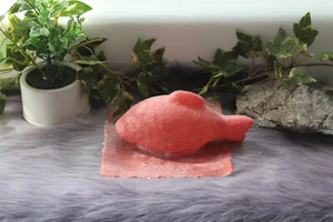 Handmade Latex Mould Casting Mold Concrete Mould for Concrete Plaster Maritime Fish 0 - Picture 1 of 6