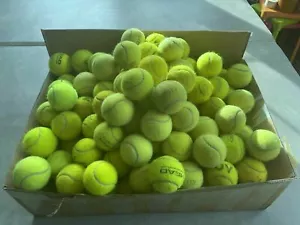 20 Used Tennis Ball For Dogs. Branded Balls. Slazenger Head. CHEAPEST ON EBAY ! - Picture 1 of 7