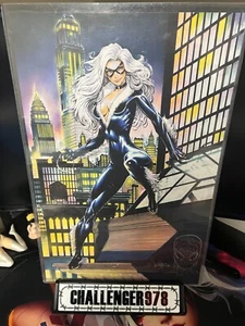 BLACK CAT / SPIDER-MAN 11x17 REMARCADO Jason Metcalf IMPRESIÓN ARTÍSTICA FIRMADA + TOPLOADER - Imagen 1 de 3