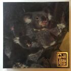 1985 vintage CUTE KOALA BEARS jigsaw puzzle-MOTHER & BABIES-hoyle USA-sealed NEW