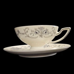 Johann Haviland Bavaria Germany Gray Floral Cup & Saucer Set Silver Trim Vintage - Picture 1 of 7