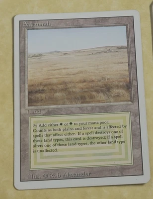 SAVANNAH LPMP -- Revised MTG -- See Photos - Image 1 of 4