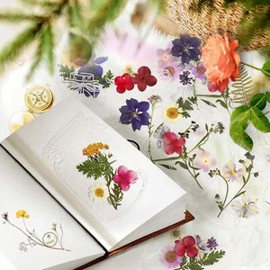 40Pcs DIY Bookmarks Kit, Transparent Dried Flower Bookmarks, - Picture 1 of 8