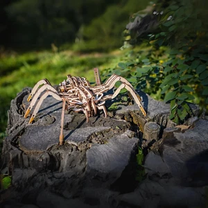 Spinne | Mechanisch - Bild 1 von 10