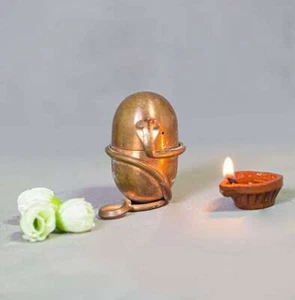 Exclusive Isha LIFE Product Jeevarasam (Consecrate water at home) BY SADHGURU - Picture 1 of 8