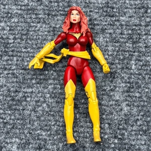 Marvel Universe Dark Phoenix Secret Wars 3.75" Action Figure Jean Grey 2009 - Picture 1 of 11